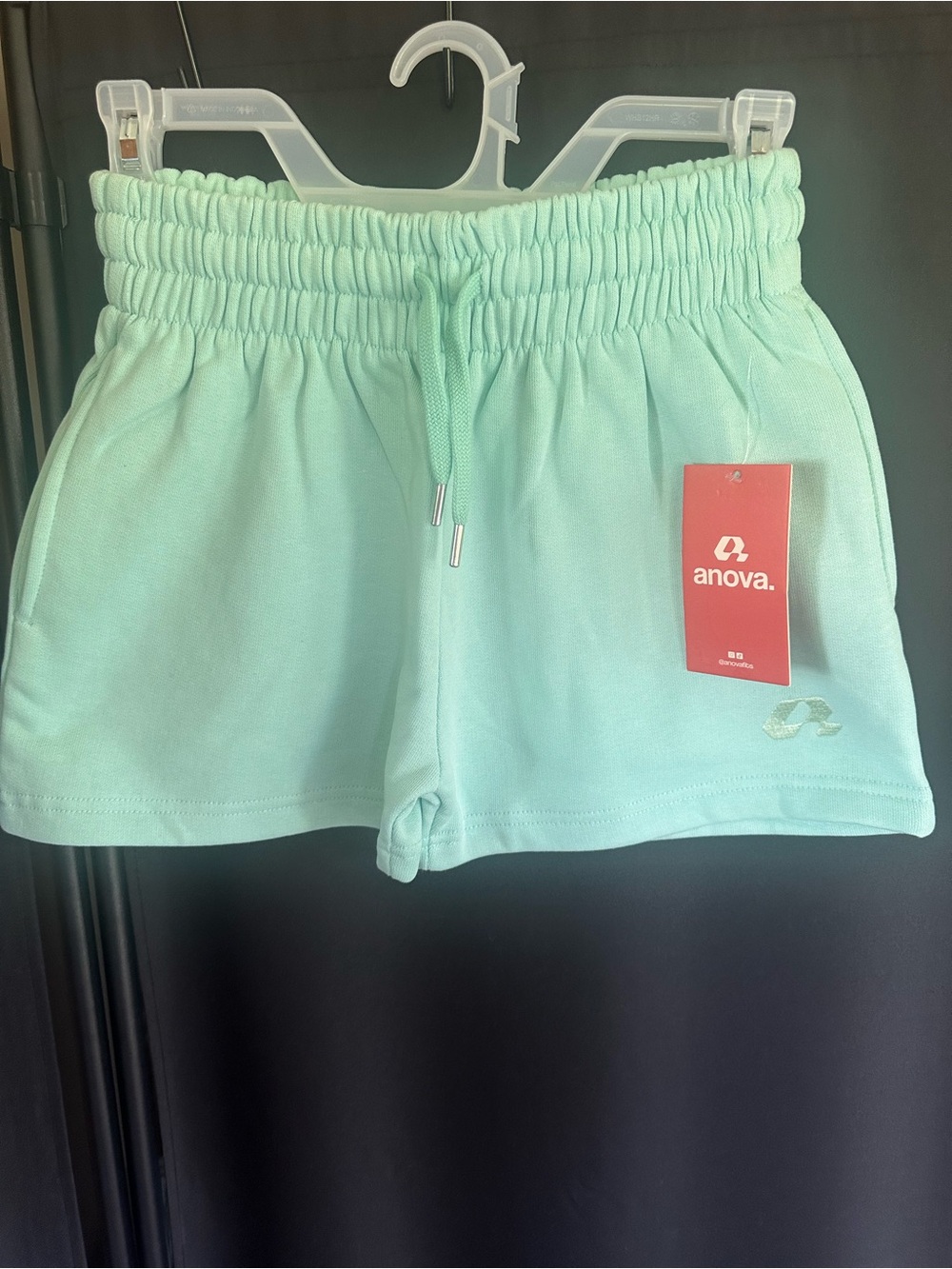 Anova Mint Green Sweat Shorts Women’s XS NWT Organic Cotton Lounge Shorts